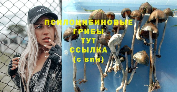 дживик Россошь