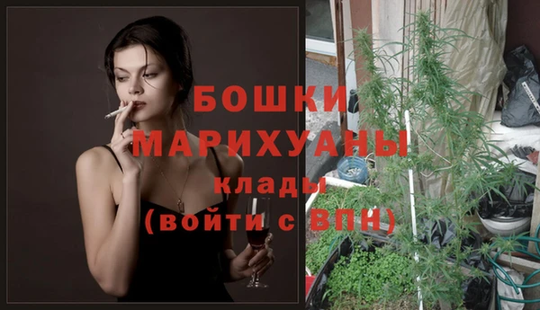 трава Рославль