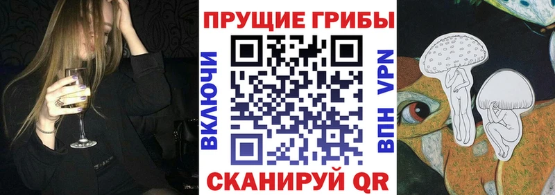 купить наркотик  Донецк  Псилоцибиновые грибы ЛСД 