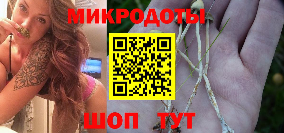Донецк  Галлюциногенные грибы Psilocybine cubensis  Вход с VPN 