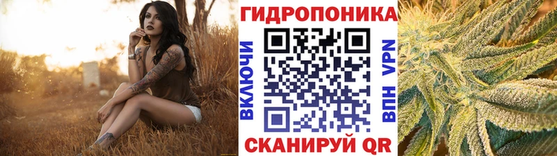 Бошки марихуана OG Kush  MEGA онион  Донецк 